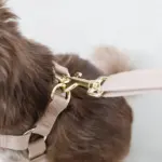 ギンガムチェックチェリーハーネス - Image 5