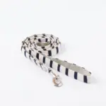 ボーダーリード