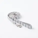 ボーダーリード - Image 3