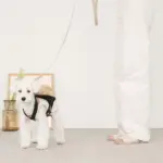 ベージュバックパックハーネス - Image 4