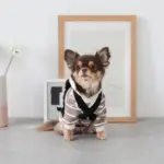 ベージュバックパックハーネス - Image 8