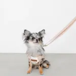 大理石調柄ハーネス - Image 4