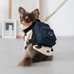 デニムバックパックハーネス - Image 2