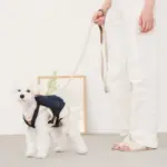 デニムバックパックハーネス - Image 3