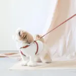 レザーハーネス　MEDIUM - Image 4