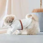 レザーハーネス　MEDIUM - Image 5