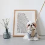 レザーハーネス　MEDIUM - Image 6