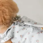 リングライトリード - Image 4