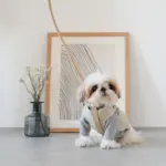 レザーハーネス　SMALL - Image 4