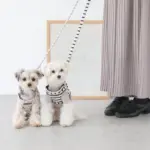 ボーダーハーネス - Image 4