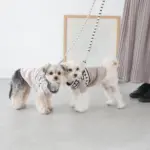 ボーダーハーネス - Image 5