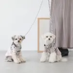 ボーダーハーネス - Image 6