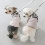 ボーダーハーネス - Image 7