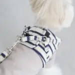 ボーダーハーネス - Image 10