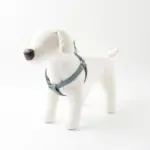 シュリンクレザーハーネス - Image 6